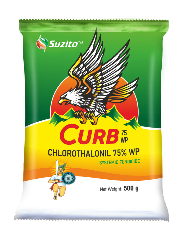 Curb