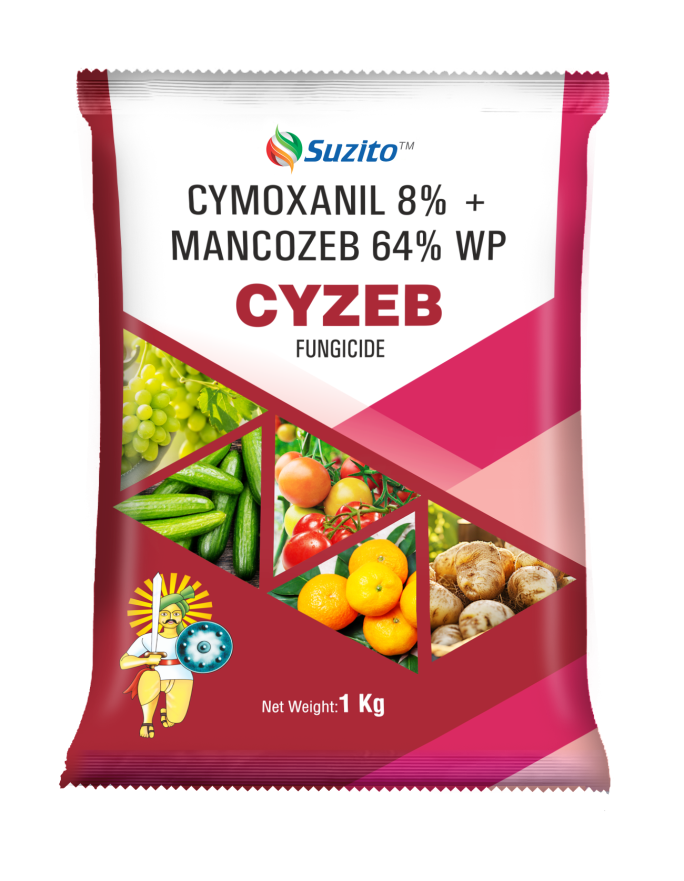 Cyzeb