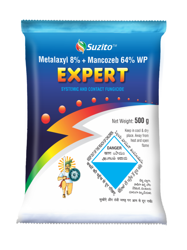 Expert