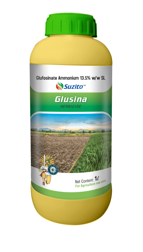 Glusina