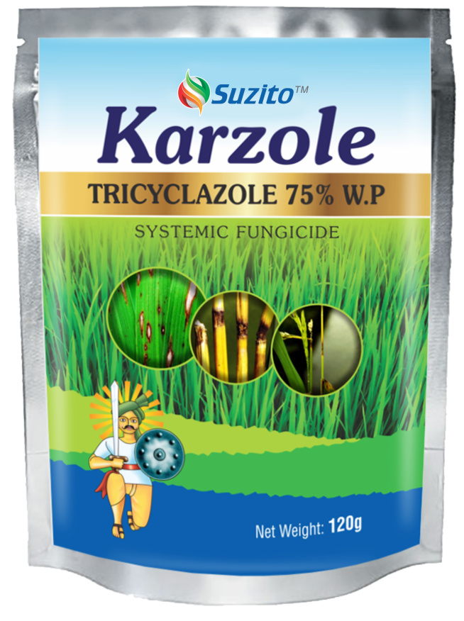 Karzole