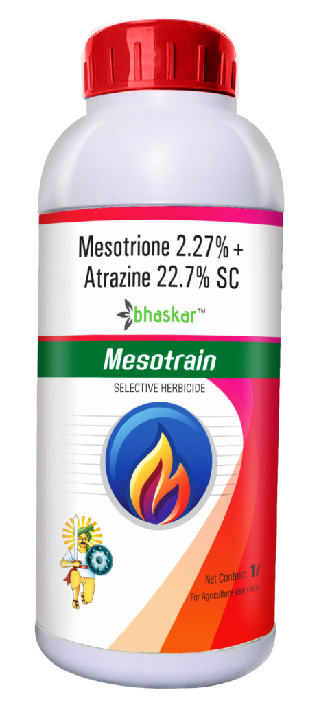 Mesotrain