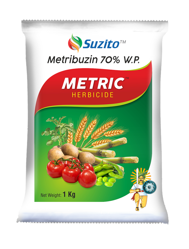 Metric