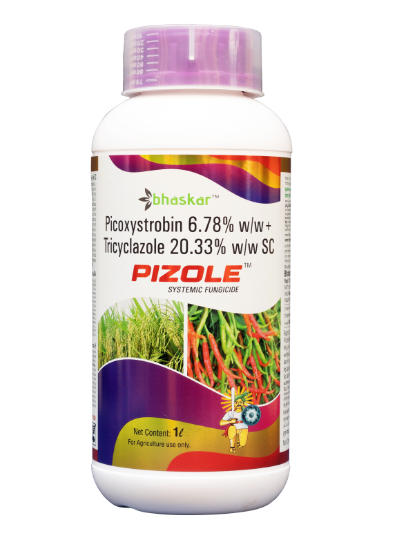 Pizole