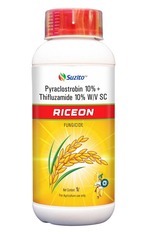 Riceon