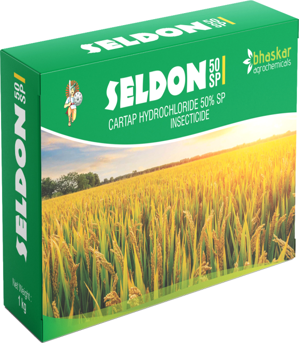 Seldon 20