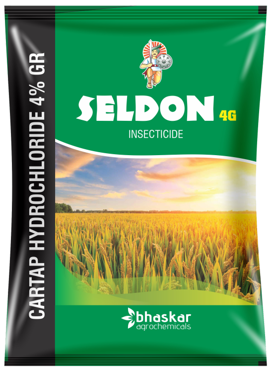 Seldon 4G