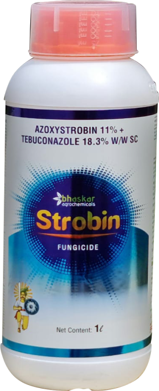 Strobin