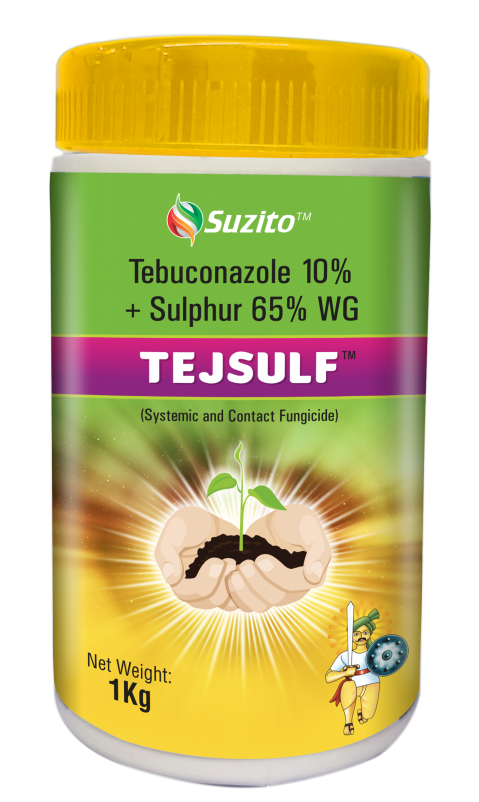 Tejsulf