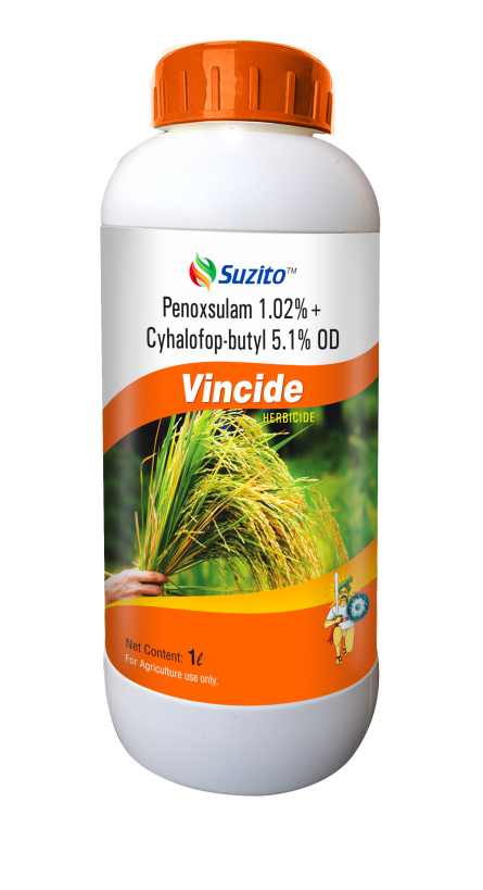 Vincide